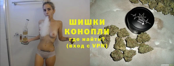 ПСИЛОЦИБИНОВЫЕ ГРИБЫ Ладушкин