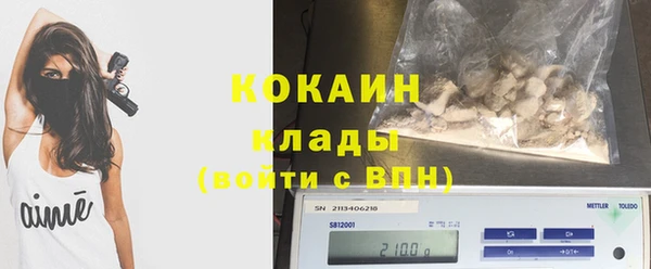 ПСИЛОЦИБИНОВЫЕ ГРИБЫ Ладушкин
