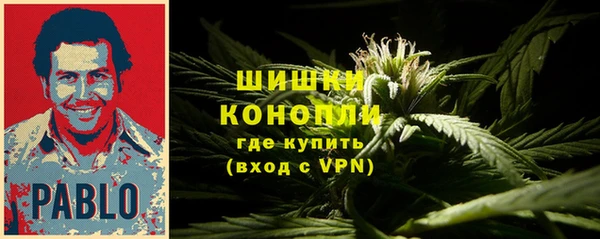 ПСИЛОЦИБИНОВЫЕ ГРИБЫ Ладушкин