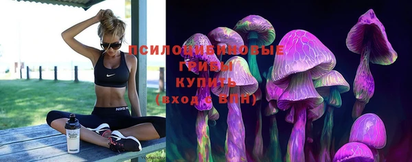 ПСИЛОЦИБИНОВЫЕ ГРИБЫ Ладушкин