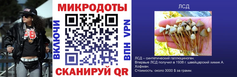 Галлюциногенные грибы ЛСД  Циолковский 