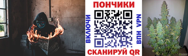 Конопля OG Kush  мега зеркало  Циолковский 